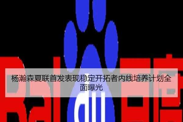 杨瀚森夏联首发表现稳定开拓者内线培养计划全面曝光